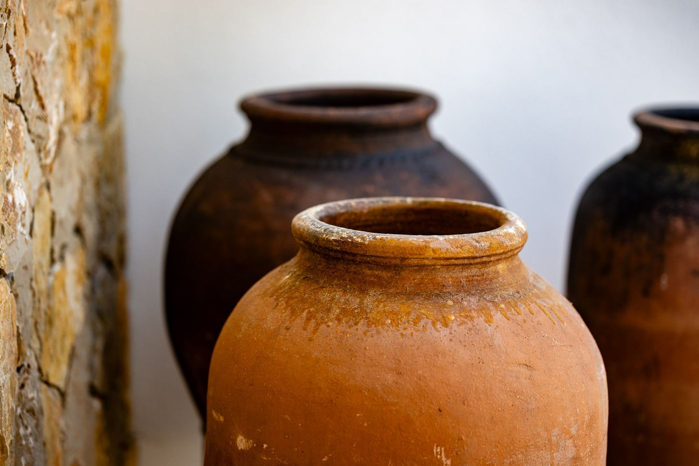 Curated terracotta vessels among the planting