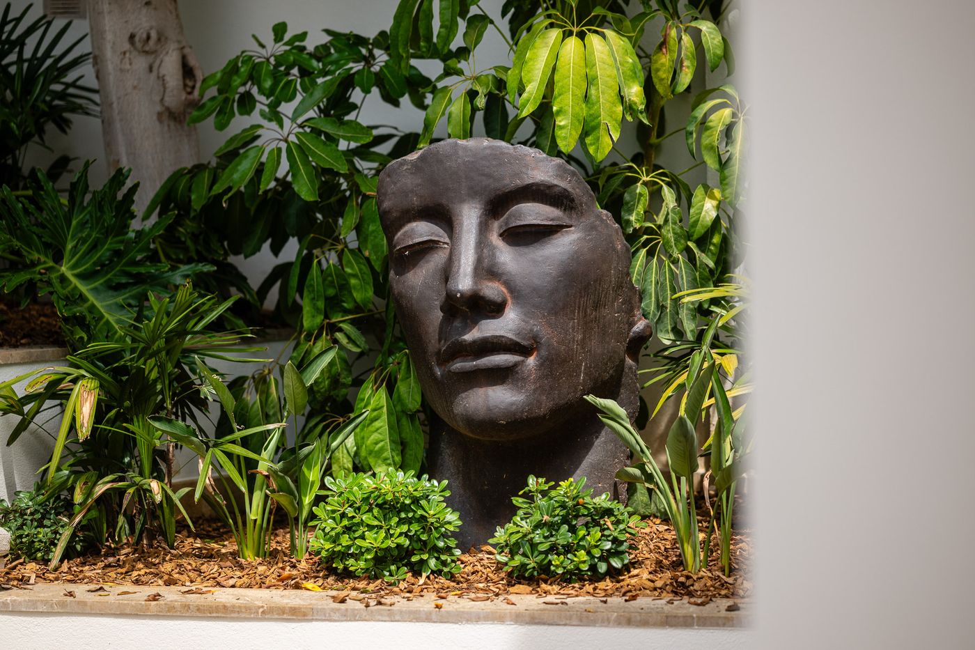 Sculptural face among lush greenery